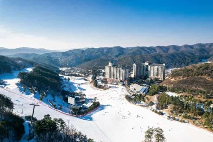 사본 -보도사진 3_오크밸리 스키 슬로프 주간 전경