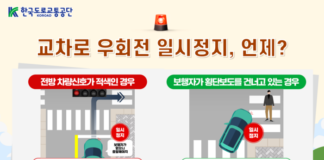 우회전 중 방심이 사고 부른다… “빨간불엔 반드시 멈추고 보행자 확인해야”