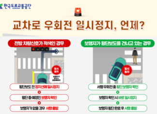 우회전 중 방심이 사고 부른다… “빨간불엔 반드시 멈추고 보행자 확인해야”