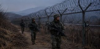 ‘DMZ 돌아다니는 살인병기’라고?…민주주의를 말하기 전에 사실부터 정확히 써라 DMZ 철책선을 따라 경계근무를 수행하는 한국군 장병들