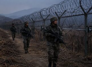 ‘DMZ 돌아다니는 살인병기’라고?…민주주의를 말하기 전에 사실부터 정확히 써라 DMZ 철책선을 따라 경계근무를 수행하는 한국군 장병들