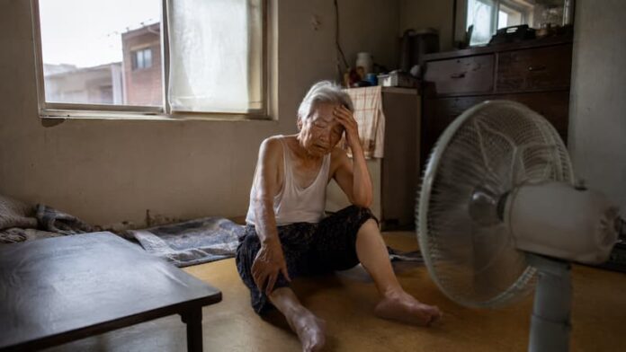 ChatGPT Image 2026년 8월 7일 오후 12_16_56 (1)
