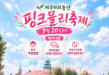 제주 허브동산, 제주도 ‘핑크뮬리 축제’ 개최
