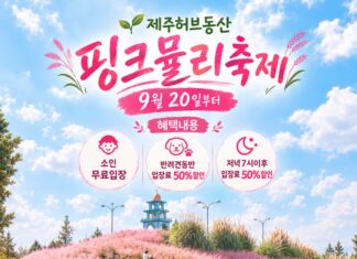 제주 허브동산, 제주도 ‘핑크뮬리 축제’ 개최