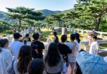 대규모 예산 투입 없이도 매진 행렬… 야간 콘텐츠로 승부한 성주군 야간관광