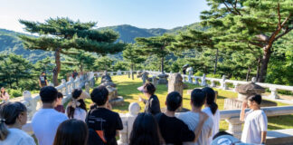 대규모 예산 투입 없이도 매진 행렬… 야간 콘텐츠로 승부한 성주군 야간관광