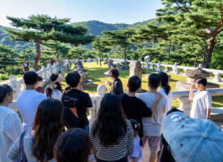 대규모 예산 투입 없이도 매진 행렬… 야간 콘텐츠로 승부한 성주군 야간관광