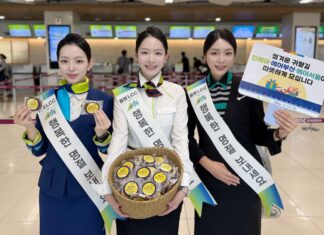 “한가위 인사부터 할인 혜택까지 풍성하게” 진에어, 추석 맞이 특별 이벤트 진행