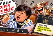 서영교의 일갈 “무지하게 굴지 마세요” 서영교 법사위원장의 국정감사 발언과 헌법 제66조의 행정부 수반 규정을 대비하고, 뒤에서 개와 소가 웃는 모습을 그린 미디어원 시사만평