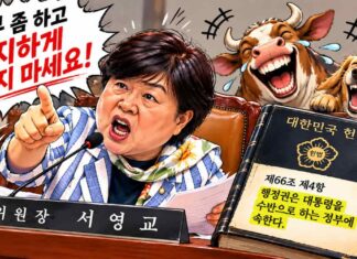 서영교의 일갈 “무지하게 굴지 마세요” 서영교 법사위원장의 국정감사 발언과 헌법 제66조의 행정부 수반 규정을 대비하고, 뒤에서 개와 소가 웃는 모습을 그린 미디어원 시사만평