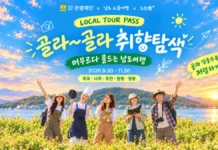 “정해진 코스 대신 내가 고른다”… 전남 5개 시군 잇는 로컬투어패스 전남 남도노을여행 로컬투어패스 목포 나주 무안 영광 함평 여행 기획전