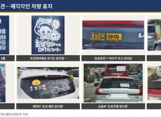 ‘살려주세요’가 된 배려의 언어… 27년 방치된 안전 스티커의 타락 해시태그 6줄 스티커부터 캐릭터 문구 손글씨 표지까지 도로 위에 부착된 다양한 초보운전 스티커 사례 모음