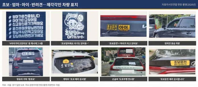 서울 및 경기 일원 도로와 주차장에서 포착된 제각각의 차량 스티커 실태 해시태그 6줄 스티커부터 캐릭터 문구 손글씨 표지까지 도로 위에 부착된 다양한 초보운전 스티커 사례 모음