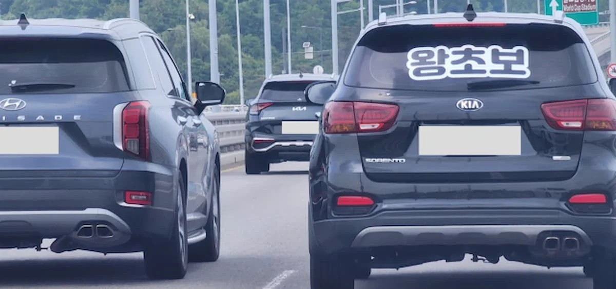 도로 주행 중인 검은색 SUV 차량 뒷유리에 대형 흰색 글씨로 왕초보라고 적힌 스티커 전경