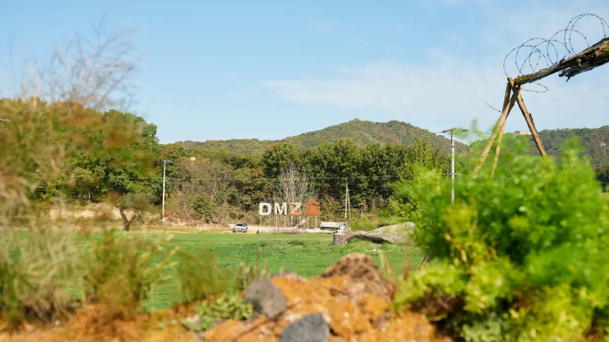 철조망 너머 잔디 정원과 숲이 펼쳐진 파주 DMZ숲