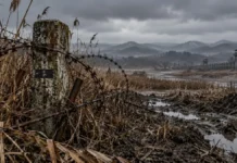 MDL 10m의 비극… 수색대대장은 왜 지뢰를 밟아야 했나 비무장지대 수풀 사이에 방치된 녹슨 군사분계선 표지물과 거친 철조망