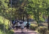 원주 바람길숲 기부런 350여 명 참여…아동 지원금 2,240만 원 전달 나무가 우거진 원주 바람길숲 산책로를 달리는 기부런 참가자들