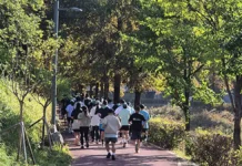 원주 바람길숲 기부런 350여 명 참여…아동 지원금 2,240만 원 전달 나무가 우거진 원주 바람길숲 산책로를 달리는 기부런 참가자들