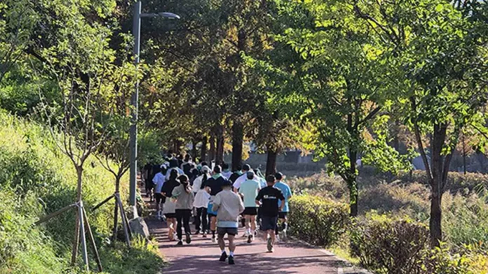 wonju-baramgil-charity-run-2026-forest 나무가 우거진 원주 바람길숲 산책로를 달리는 기부런 참가자들